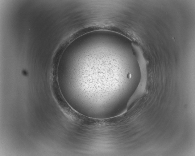 X0000070230736200606091716