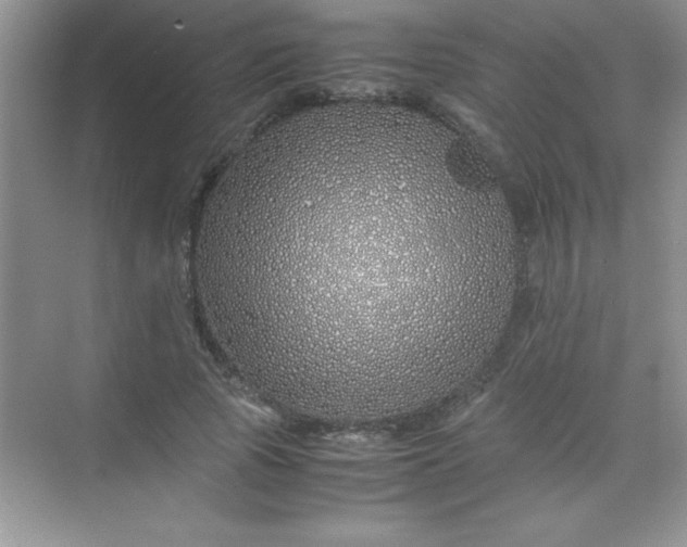 X0000070230737200606091716