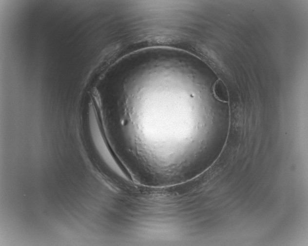 X0000070230738200606091716