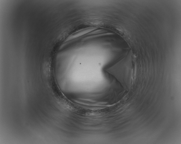 X0000070230739200606091716