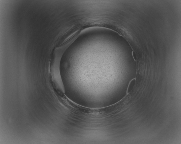 X0000070230740200606091716