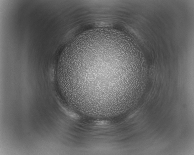 X0000070230741200606091716