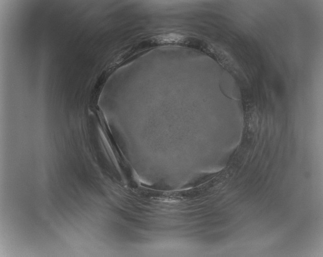 X0000070230743200606091716