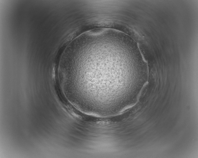 X0000070230744200606091716