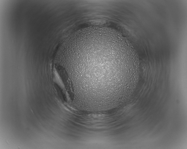 X0000070230745200606091716