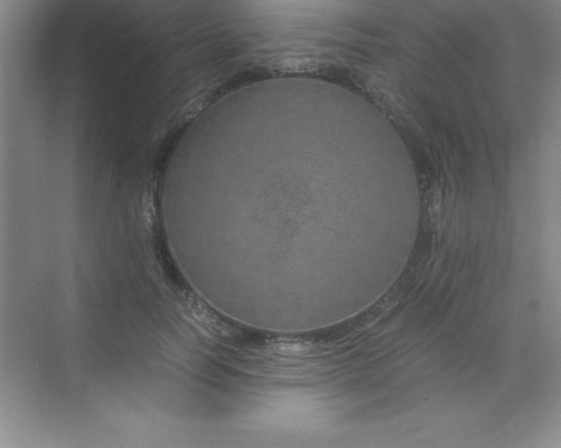 X0000070230746200606091716