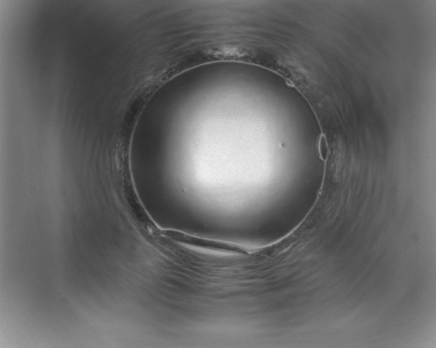 X0000070230747200606091716