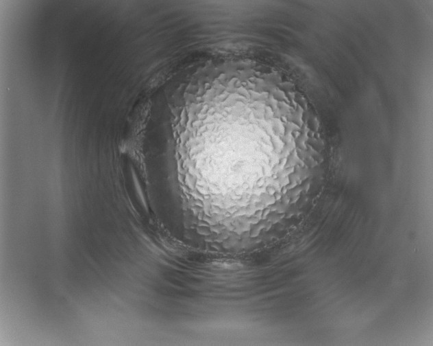 X0000070230749200606091716