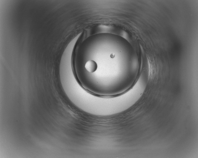 X0000070230750200606091717