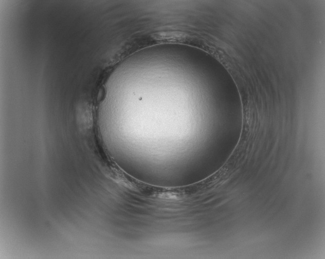 X0000070230751200606091717