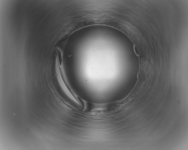 X0000070230752200606091717