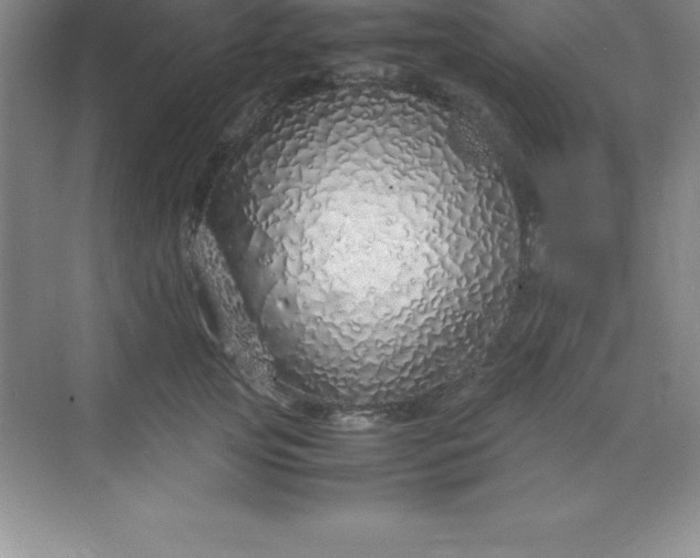 X0000070230753200606091717