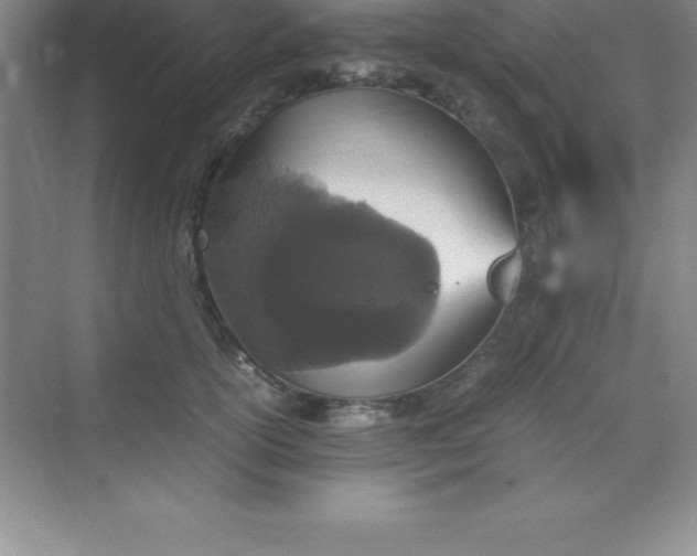 X0000070230754200606091717