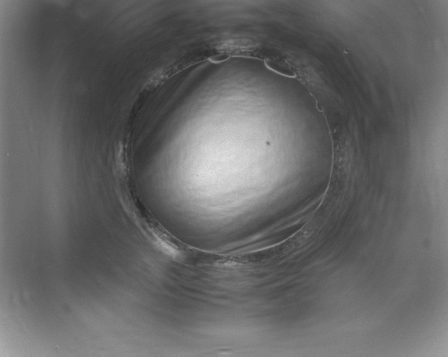 X0000070230755200606091717