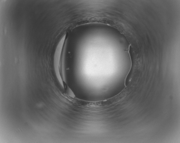 X0000070230756200606091717