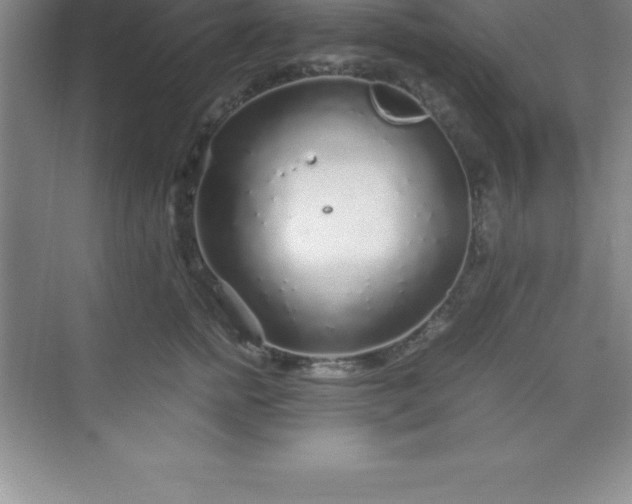 X0000070230758200606091717