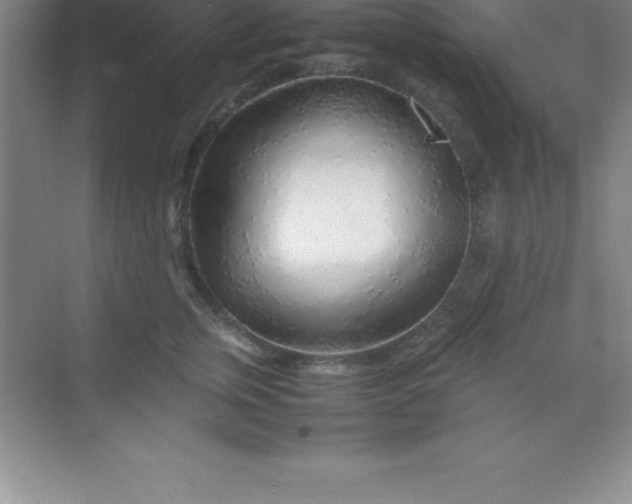 X0000070230759200606091717