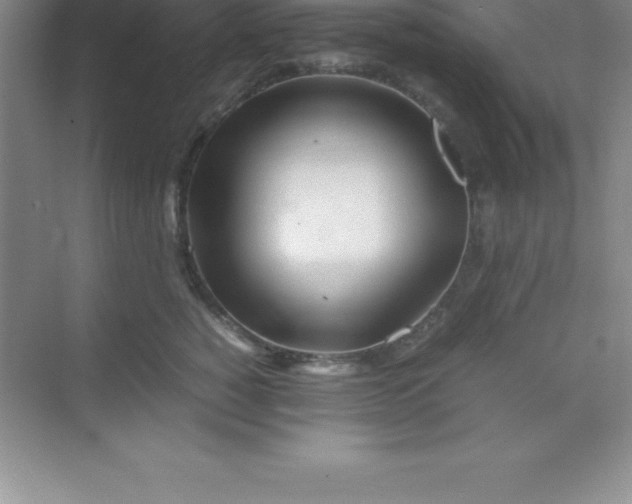 X0000070230760200606091717