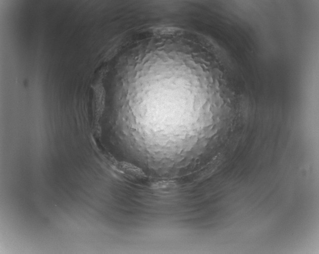 X0000070230761200606091717