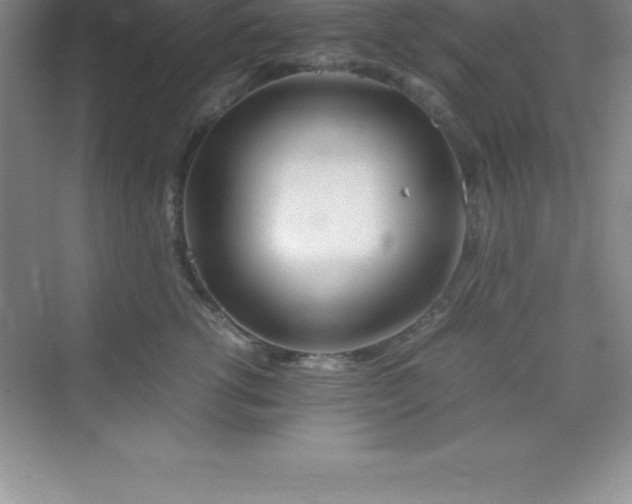 X0000070230762200606091717