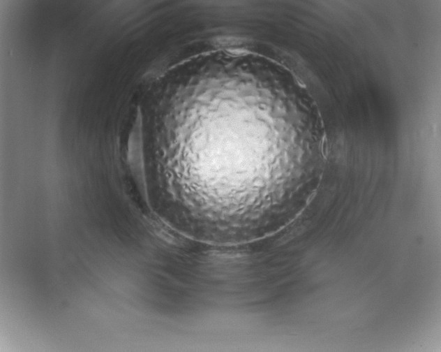 X0000070230763200606091717