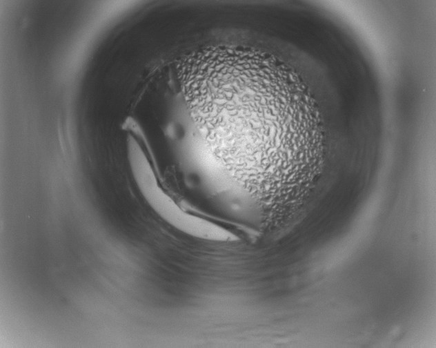 X0000070230765200606091717