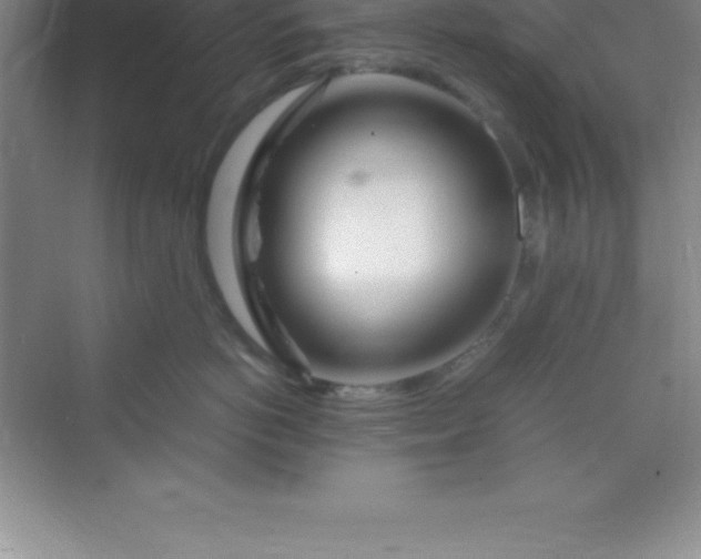 X0000070230766200606091717