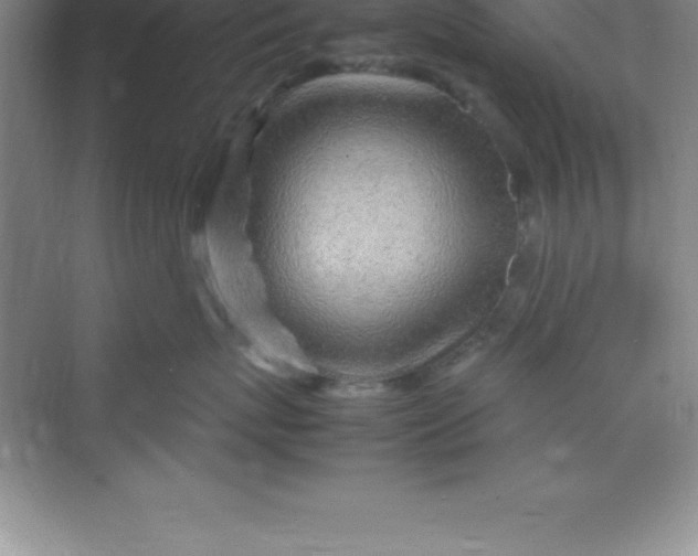 X0000070230767200606091717