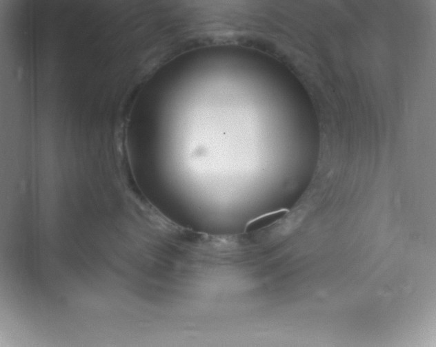 X0000070230768200606091717