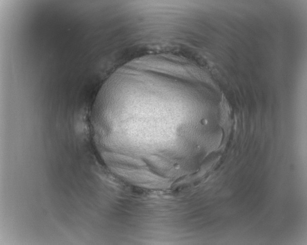 X0000070230770200606091716