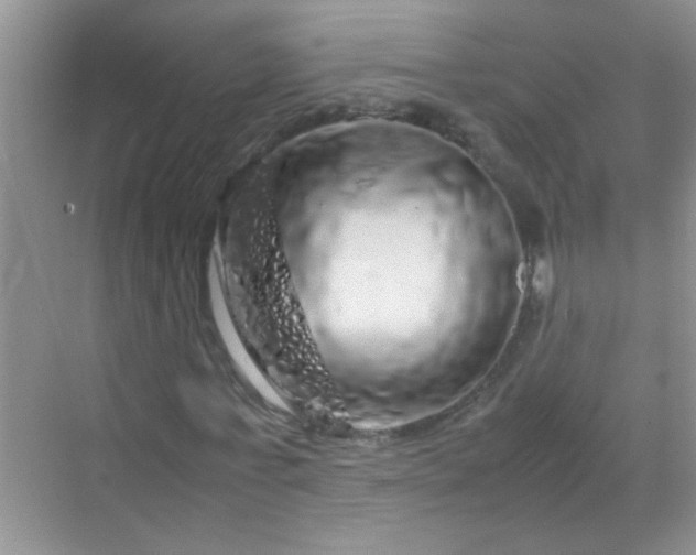 X0000070230771200606091716