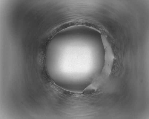 X0000070230773200606091716