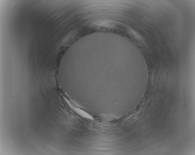 X0000070230774200606091716