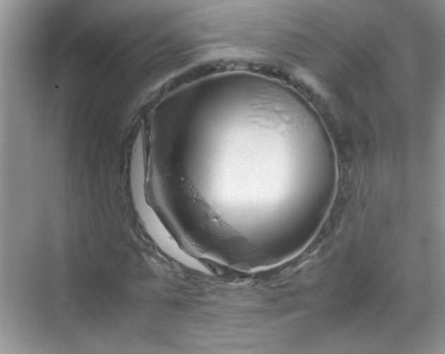 X0000070230775200606091716