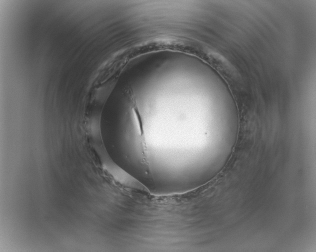 X0000070230776200606091716