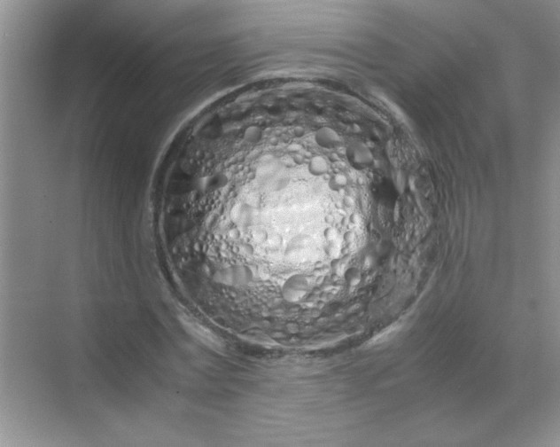 X0000070230779200606091716