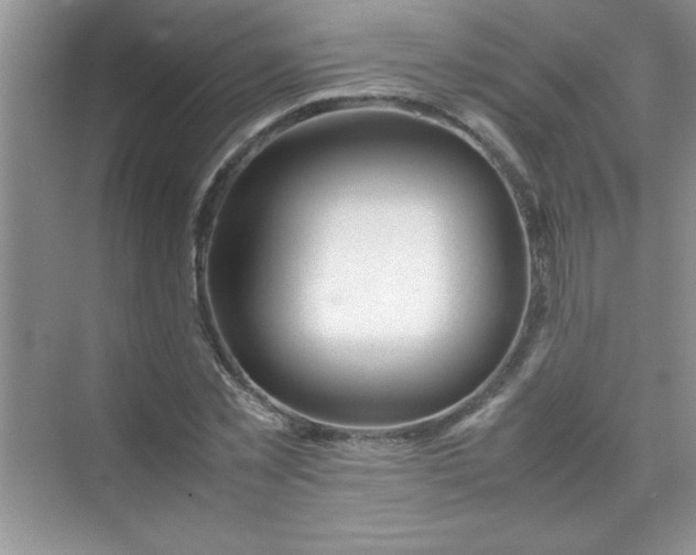 X0000070230781200606091716