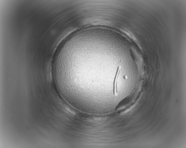 X0000070230782200606091716