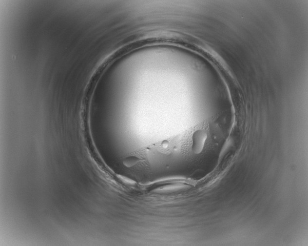 X0000070230783200606091716