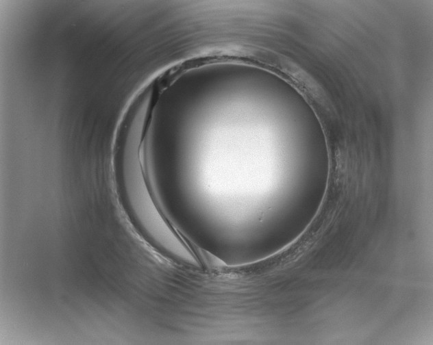 X0000070230784200606091716