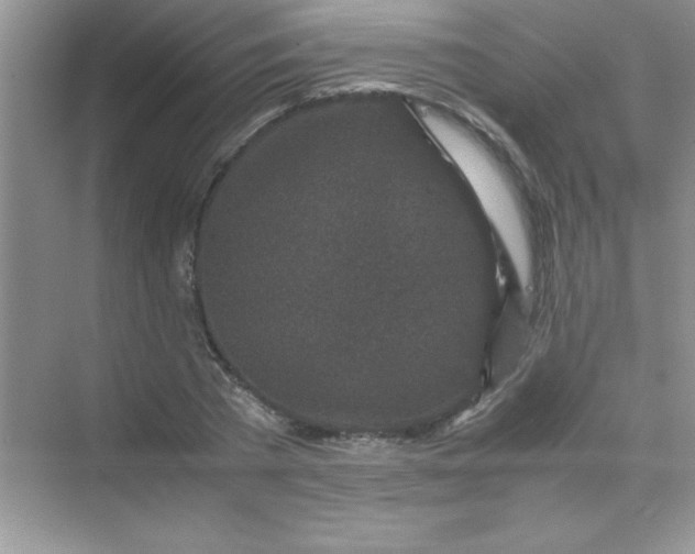 X0000070230785200606091716