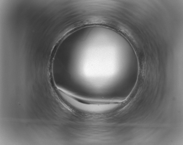 X0000070230786200606091716