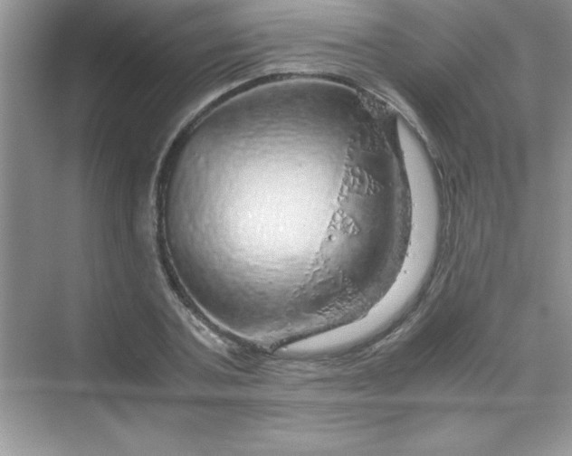 X0000070230787200606091716