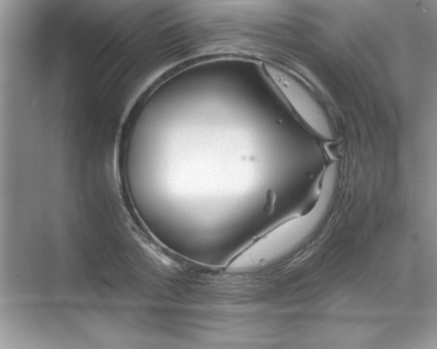 X0000070230788200606091716