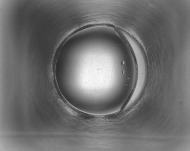 X0000070230789200606091716