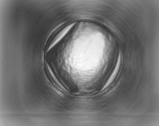 X0000070230790200606091716