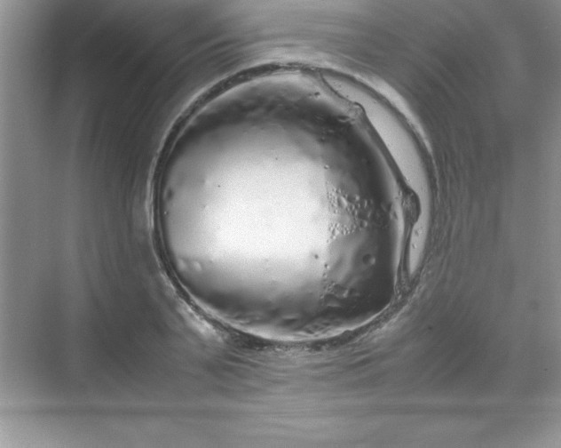 X0000070230791200606091716