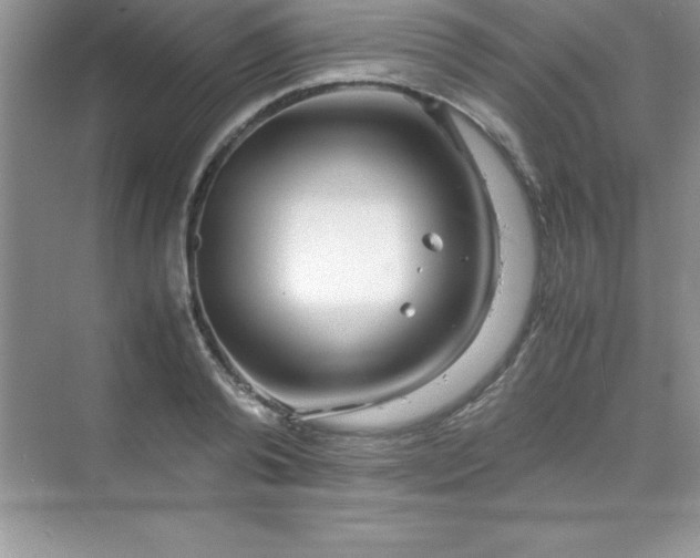 X0000070230792200606091716