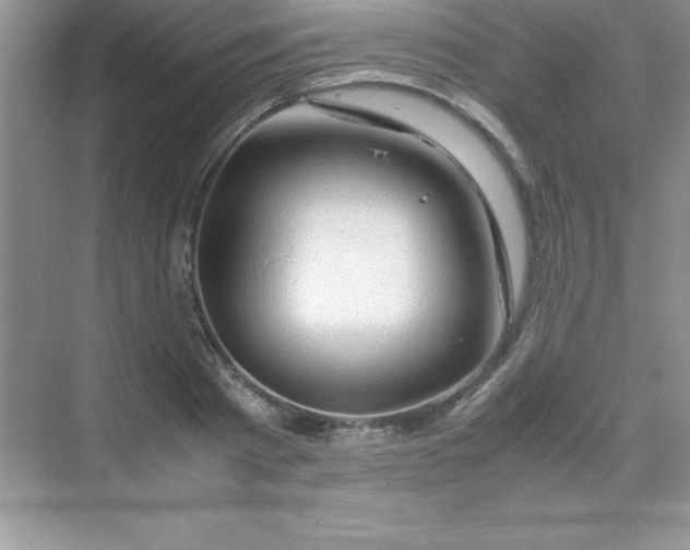 X0000070230793200606091716