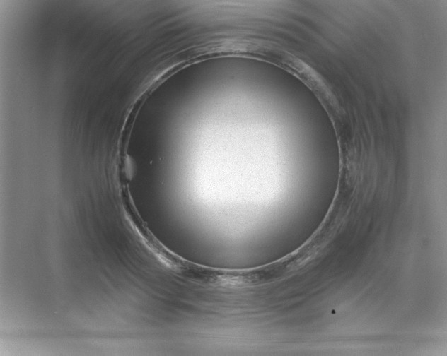 X0000070230794200606091716